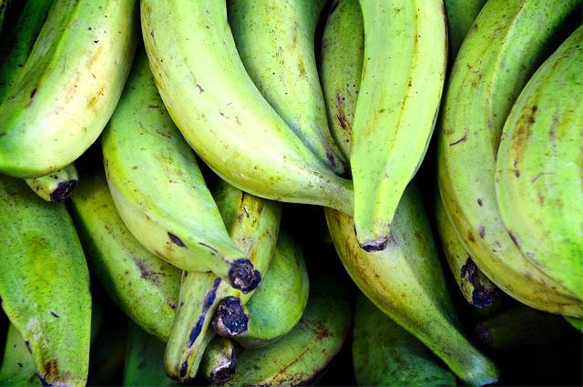 plantains-gc327dcbf6_640